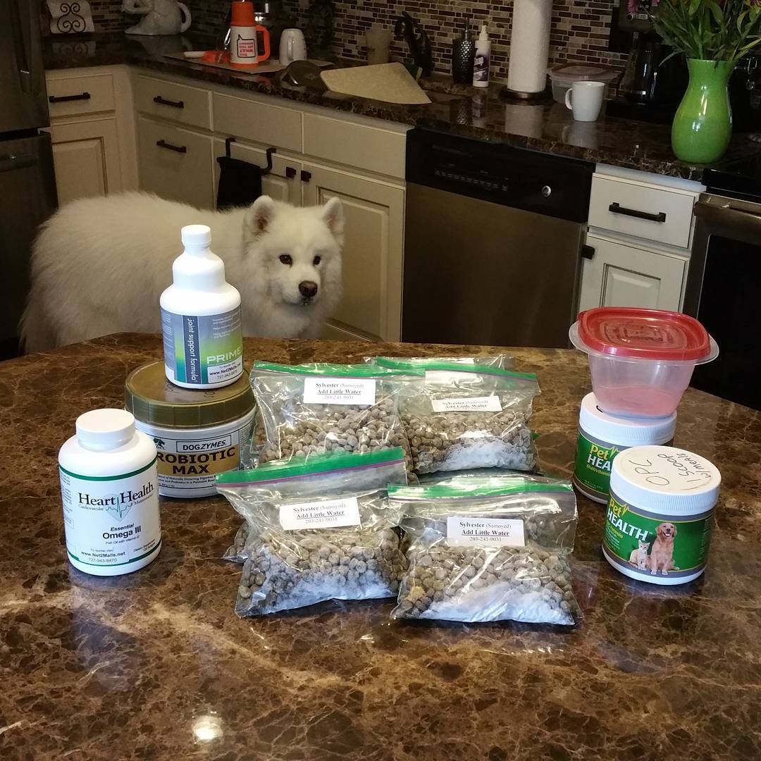 Silly's Daily Essentials